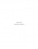 Conceptos básicos de legislación. Caso Sr. Marco del Pino