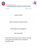 TESIS “BULLYING” ¿Cómo afecta este acoso escolar a niños de escuelas a nivel primaria-secundaria en el municipio de Cuautitlán Izcalli?