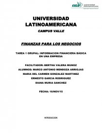 TAREA 1 GRUPAL: INFORMACION FINANCIERA BÁSICA EN UNA EMPRESA. Página 1