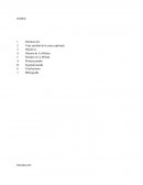 Vista satelital de la zona explorada