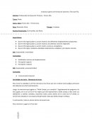 Plan de trabajo del profesor Educación Física