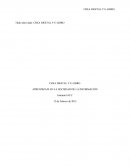 APRENDIZAJE EN LA SOCIEDAD DE LA INFORMACIÓN: CREA DIGITAL Y E-LIBRO