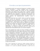 El cerebro y sus tipos de pensamiento