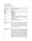 El rey leon reseña descriptiva