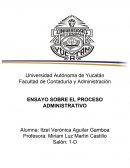 ENSAYO SOBRE EL PROCESO ADMINISTRATIVO.