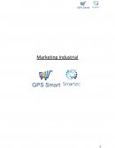 Marketing Industrial: Carritos de Supermercados inteligentes