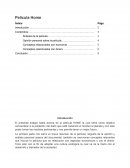 Reseña documental Home