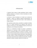 INFORME DE PRACTICA PROFESIONAL realizada en la Dirección de Obras Comunitarias
