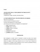¿Que relación tiene la toxoplasmosis con tener un gato?