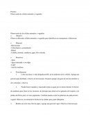 Observación de las células animales y vegetales