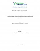 Desarrollo de la Perspectiva estratégica para la toma de decisiones en el proceso de selección de proveedores