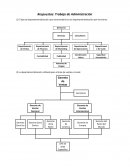Respuestas: Trabajo de Administración