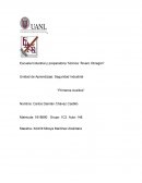 Primeros auxilios - Ensayo