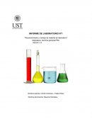 Informe detallado de laboratorio de Química