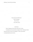 Ensayo de proyecto de mitad de curso