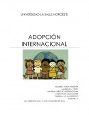OMPETENCIA PARA CONOCER Y CONSTITUIR LA ADOPCIÓN INERNACIONAL