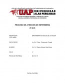 PROCESO DE ATENCIÓN DE ENFERMERÍA (P.A.E)
