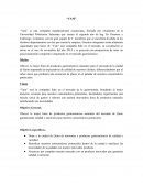 Objetivos generales de caso practico YAM