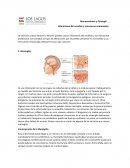 Neuroanatomía y Fisiología Alteraciones del encéfalo y estructuras relacionadas
