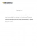 Psicometria - la validez