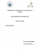 Internacionalizacion de un producto