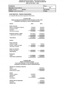 CASO PRÁCTICO – ÍNDICES FINANCIEROS. Página 1