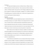 Gabriela y la mentalidad ¿japonesa? Una empresa está formada por personas con diferentes historias