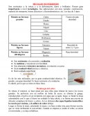METALES NO FERROSOS .Son resistentes a la rotura y a la deformación, duros y brillantes.