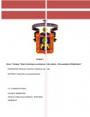 Ensayo “How to develop an entrepreneurial culture –The example of Söderhamn”