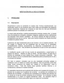 PROYECTO DE INVESTIGACIÓN MEDITACIÓN EN LA VIDA COTIDIANA