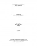 Lineamientos en el Desarrollo del Trabajo Colaborativo para Docentes y Estudiantes