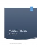 Práctica: componentes fundamentales de un robot industrial.