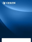 Caso 1: INFLUENCIA GRUPAL