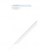 SEGURIDAD INFORMÁTICA La empresa NURV