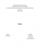 El libro Dragun - Ricardo Riera