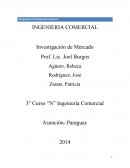 INGENIERIA COMERCIAL Investigación de Mercado