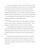 Describa con sus propias palabras y a partir de su experiencia