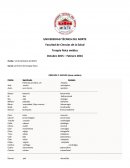 PREFIJOS Y SUFIJOS (área médica)