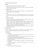 Teoria de la Organizacion SETUR