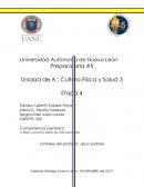 Actividad Diagnostica Handball o Balonmano