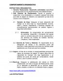 OMPORTAMIENTO - ORGANIZATIVO ESTRUCTURA ORGANIZATIVA