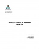 Tratamiento de riles de la industria cervecera
