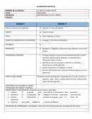 PLANEACION DIDACTICA AMBITO ESTUDIO