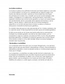 Los ácidos nucleicos.