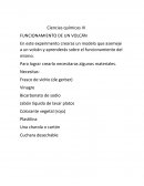 Ciencias químicas III FUNCIONAMIENTO DE UN VOLCÁN