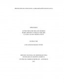 PROYECCION DE VENTAS DE LA ORGANIZACIÓN MAYECLAUJA