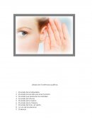 Listado de 10 estímulos auditivos