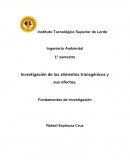 Investigación de los alimentos transgénicos y sus efectos