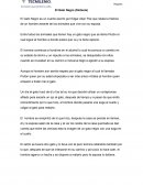 El Gato Negro (Síntesis)