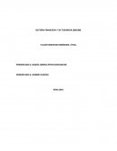 Gestion financiera y de tesoreria